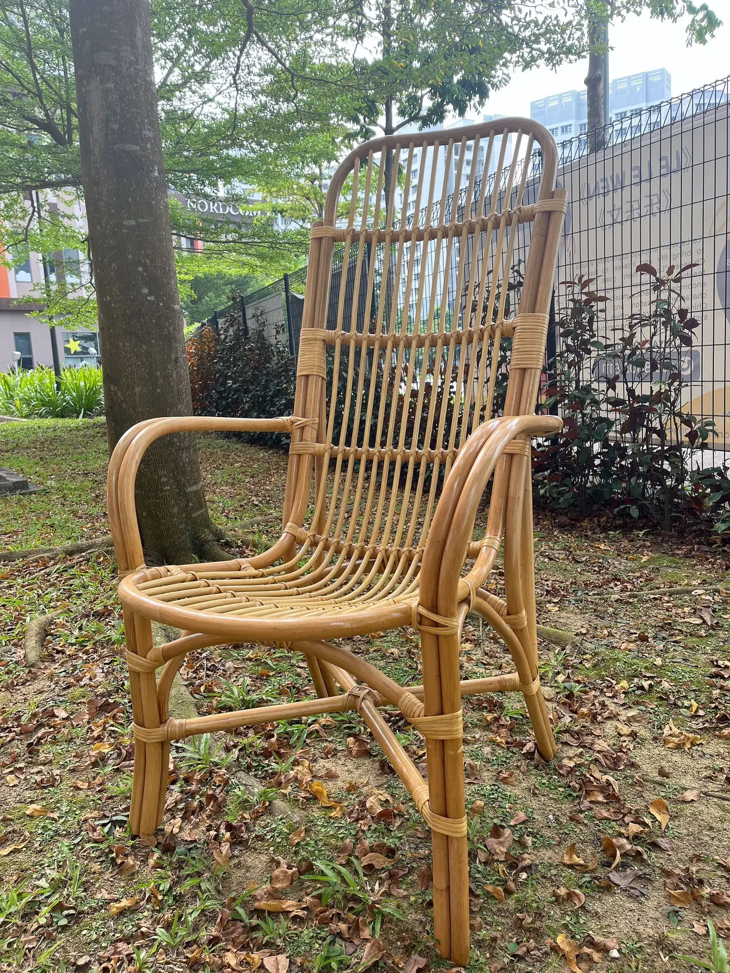 An Indo Highback Patio Chair is placed on a grassy area with fallen leaves, surrounded by trees and a fence.