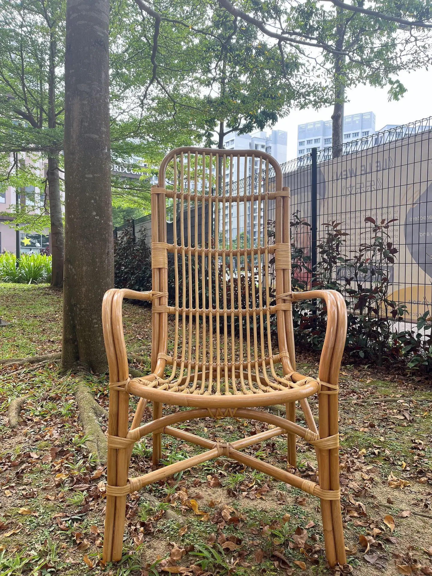 Indo Highback Patio Chair placed outdoors on grass, near a tree and a fence, with buildings in the background.