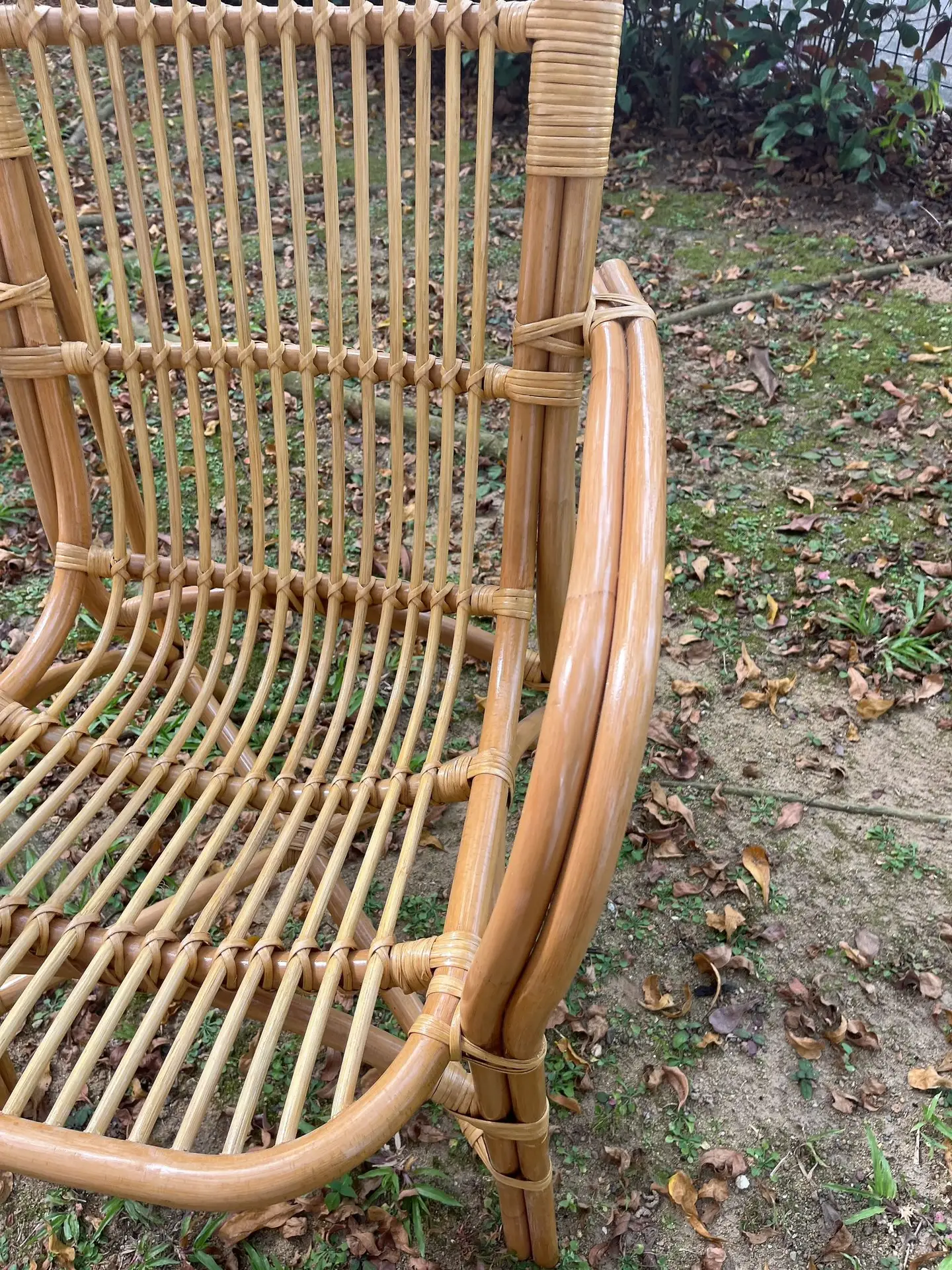 Close-up of the Indo Highback Patio Chair with a wooden frame on a grass-covered ground scattered with dry leaves.