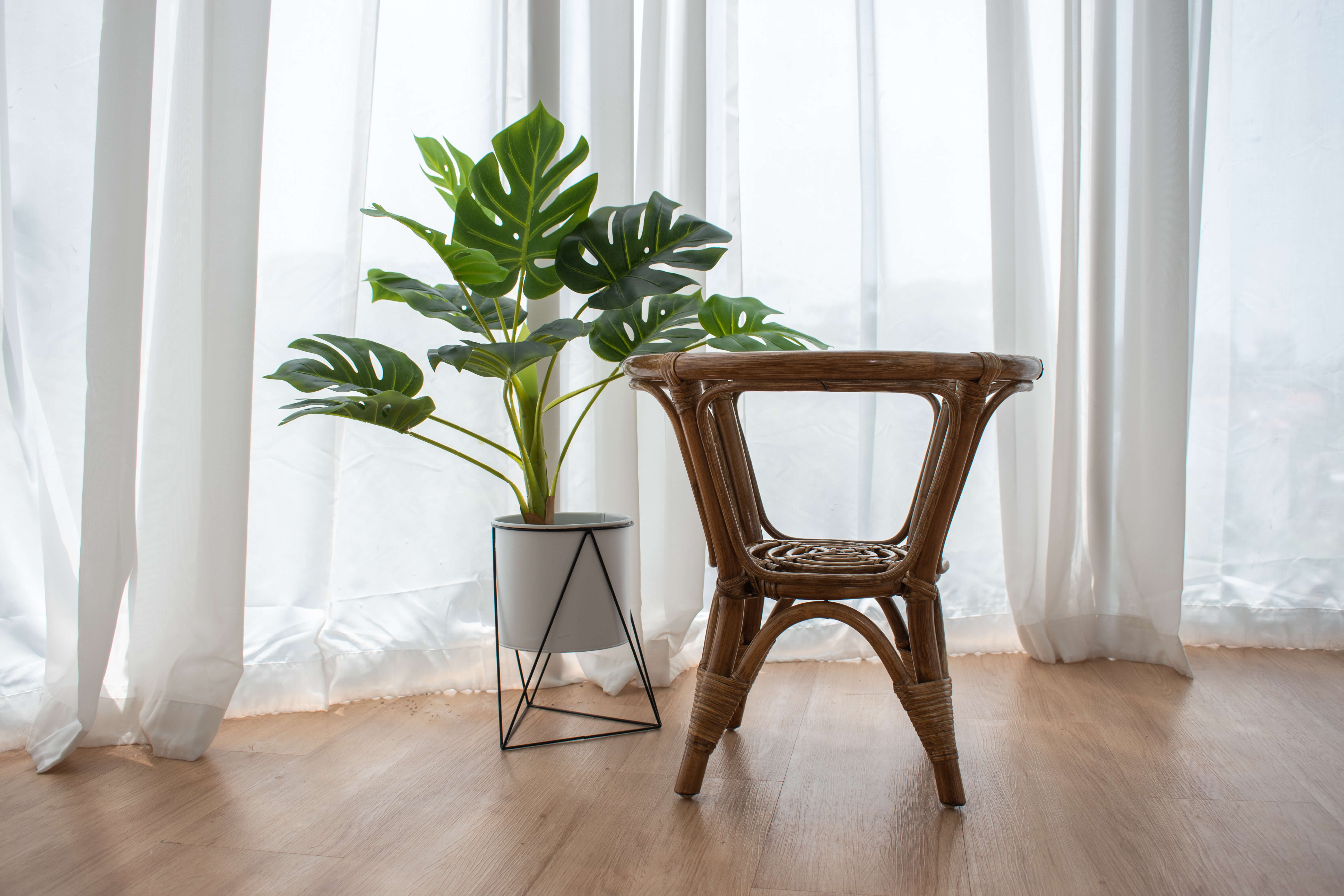 A RC Rattan Table With Glass Top sits on a wooden floor next to a potted plant, in front of large, light-filtering curtains.