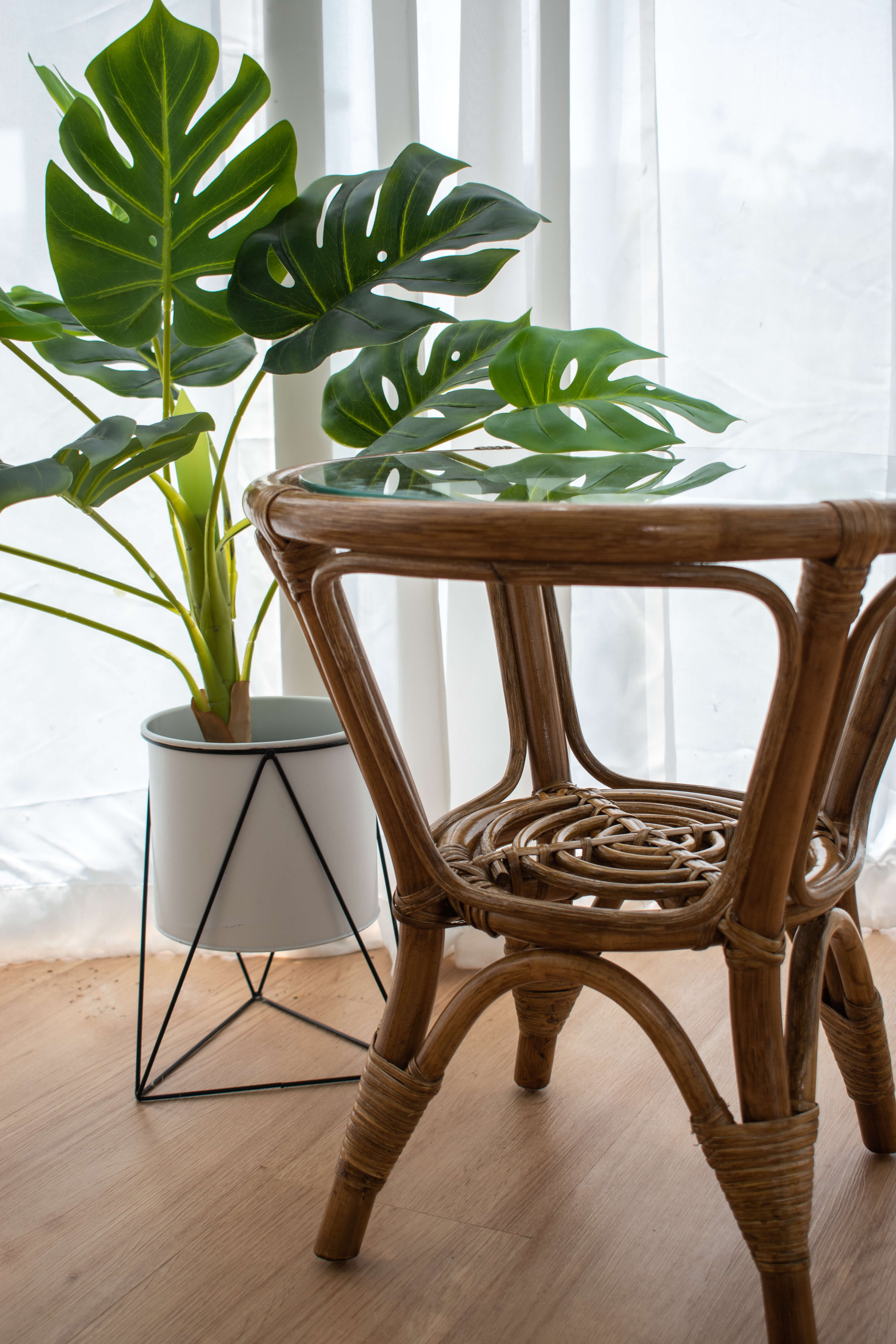 A RC Rattan Table with a glass top is placed next to a potted plant with large, green leaves by a window with sheer white curtains.