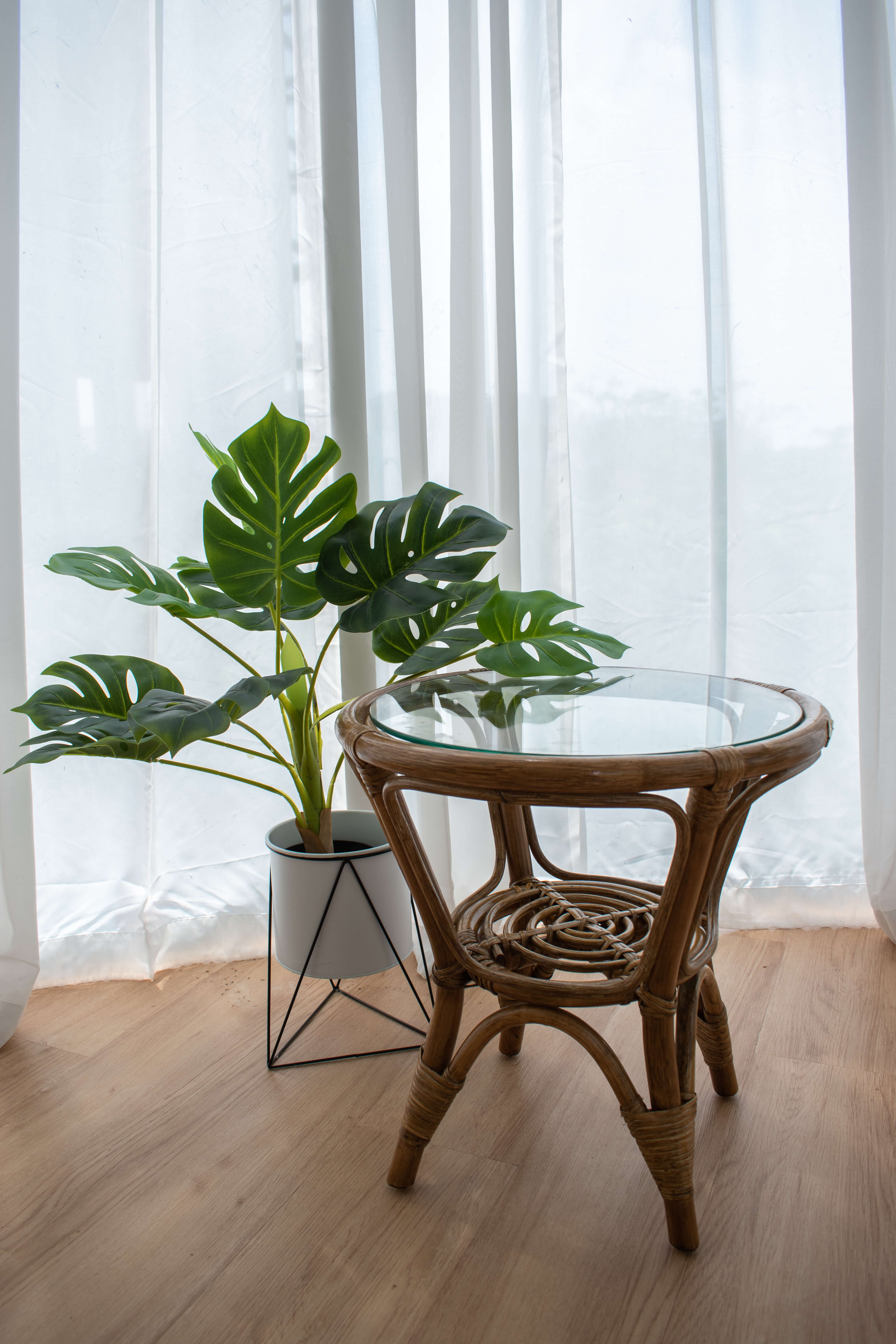 RC Rattan Table With Glass Top set beside a potted plant with large green leaves, situated on a light wooden floor in front of sheer white curtains.