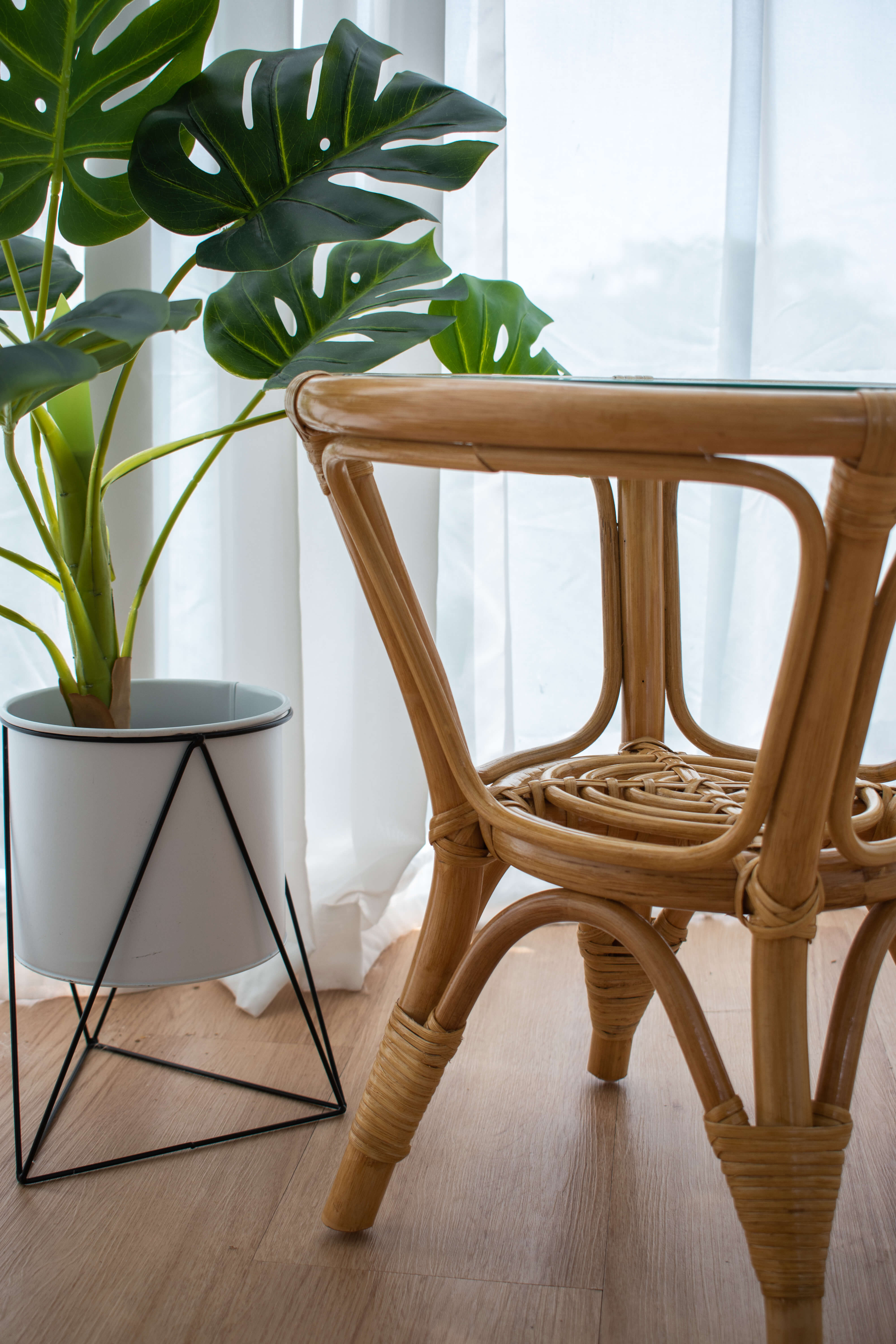An RC Rattan Table with a glass top and a potted plant with large green leaves stand on a wooden floor by a sheer window curtain, creating a simple and natural setting.