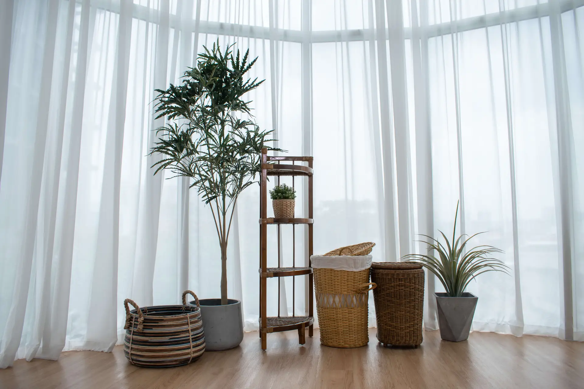 A room with large windows and white curtains, featuring a potted tree, a small plant on a wooden shelf alongside the Wicker Rack, several wicker baskets, and a potted grass plant.