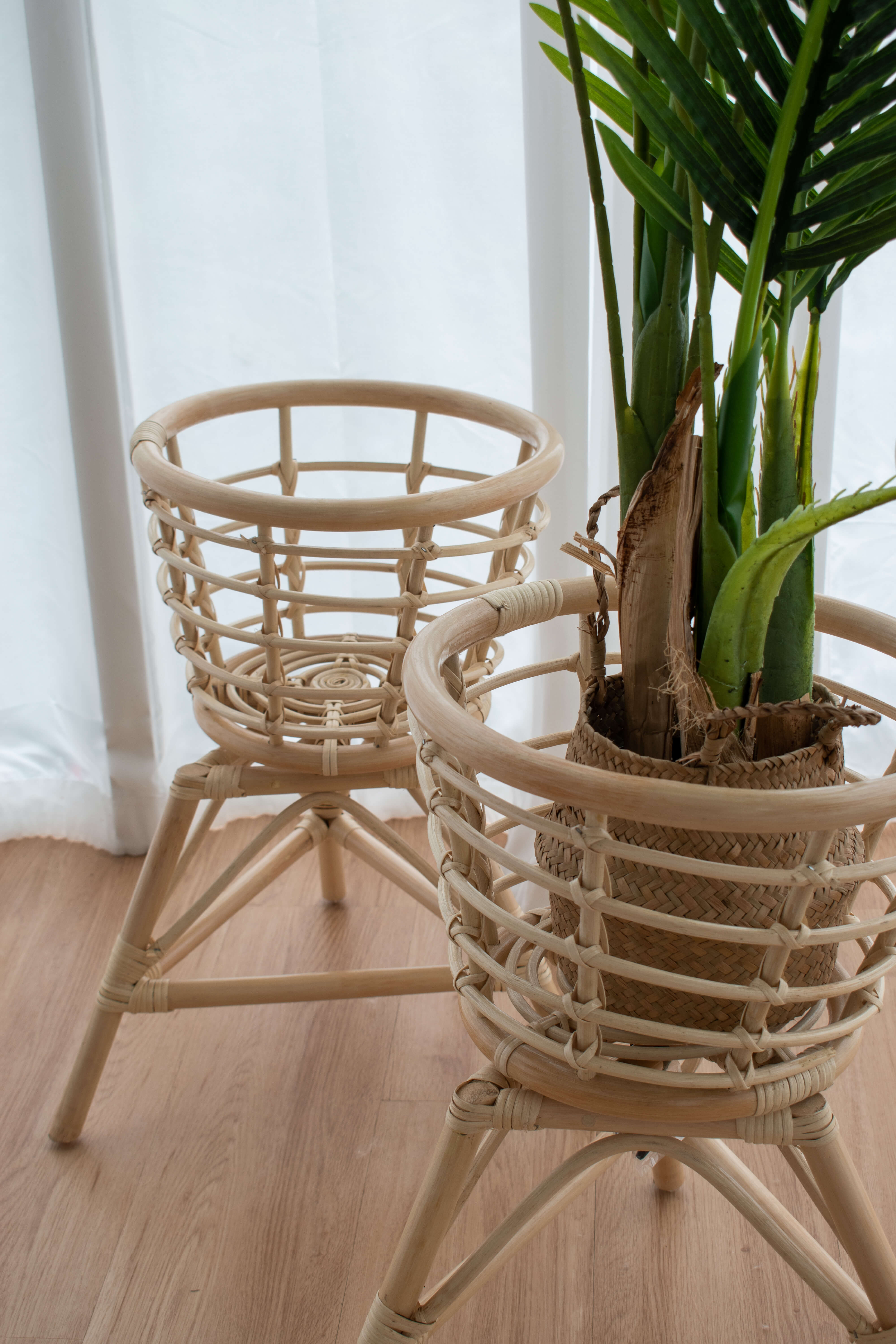 Two Bali Plant Pot Stands with a wooden finish stand on a wooden floor. One holds a potted green plant, while the other is empty. A light curtain is in the background.
