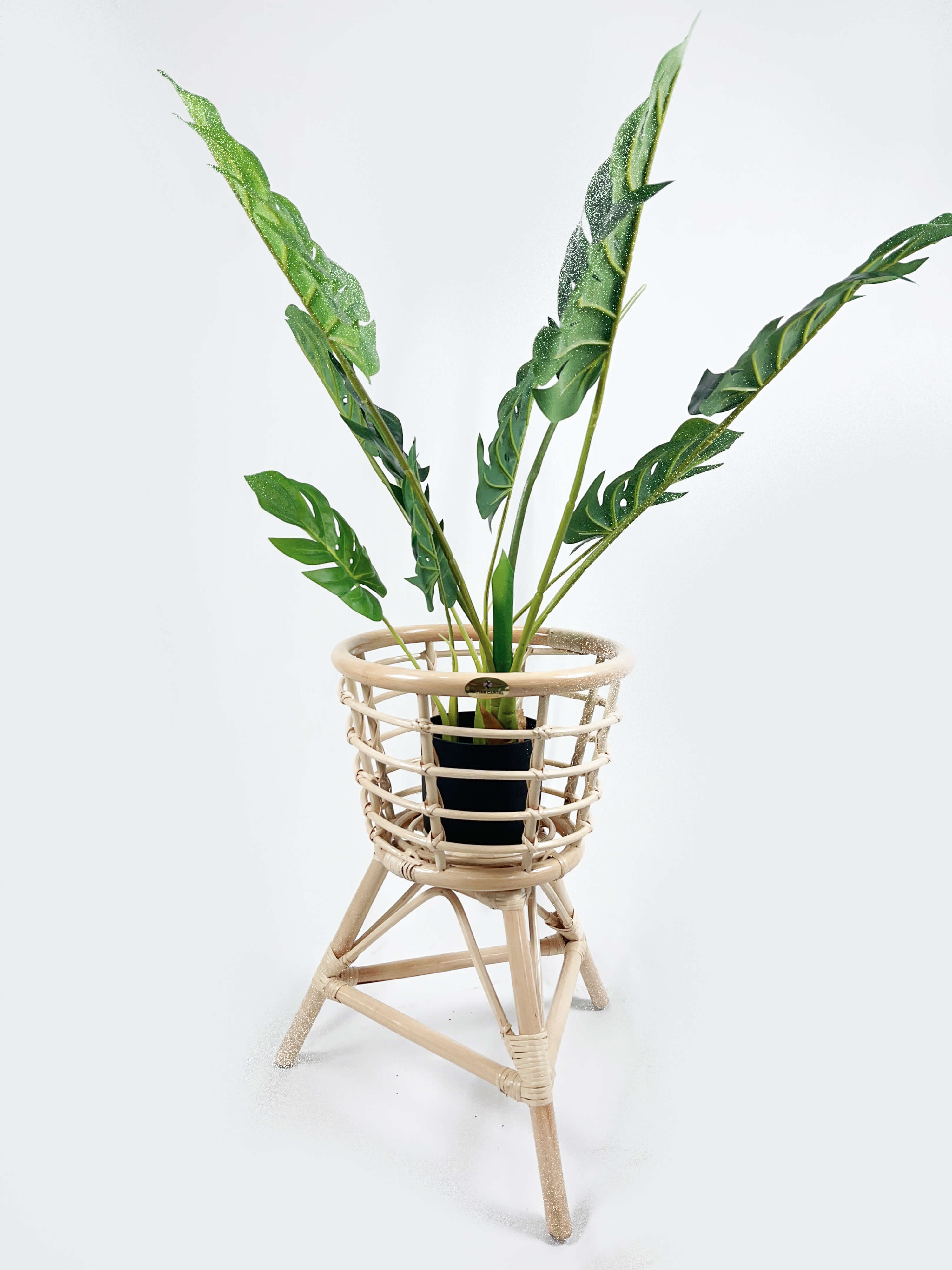 A green plant with long leaves in a black pot is placed in a woven, tripod stand against a plain white background.