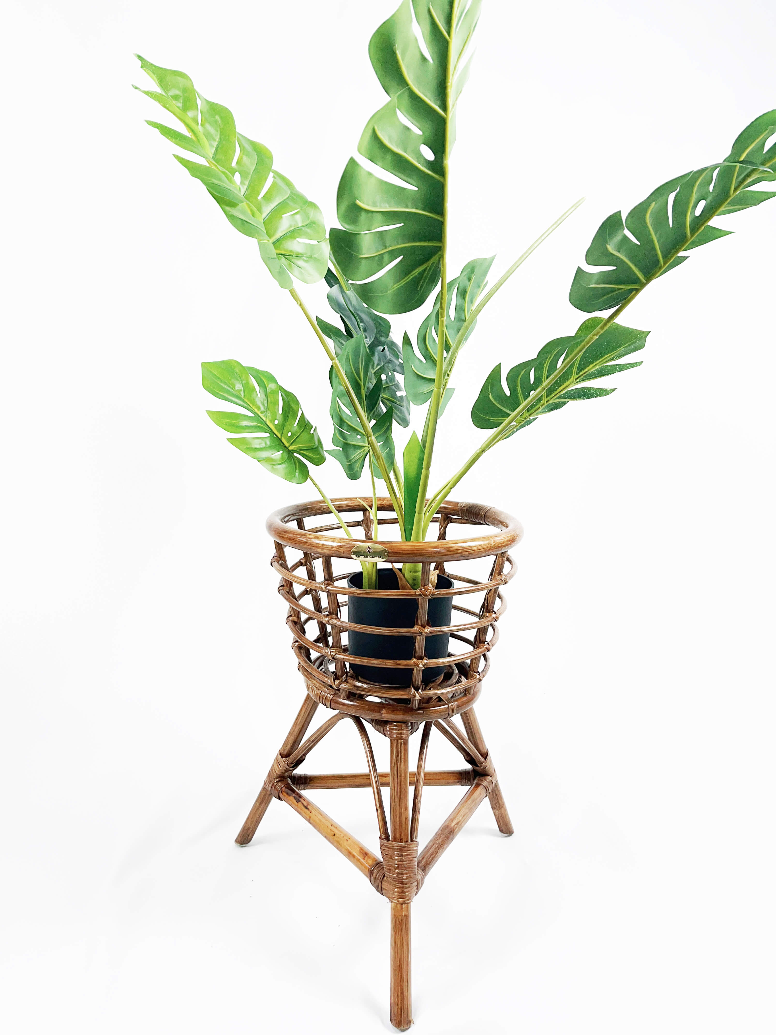 A Monstera plant with large, green leaves in a black pot is placed in a woven bamboo plant stand with tripod legs.
