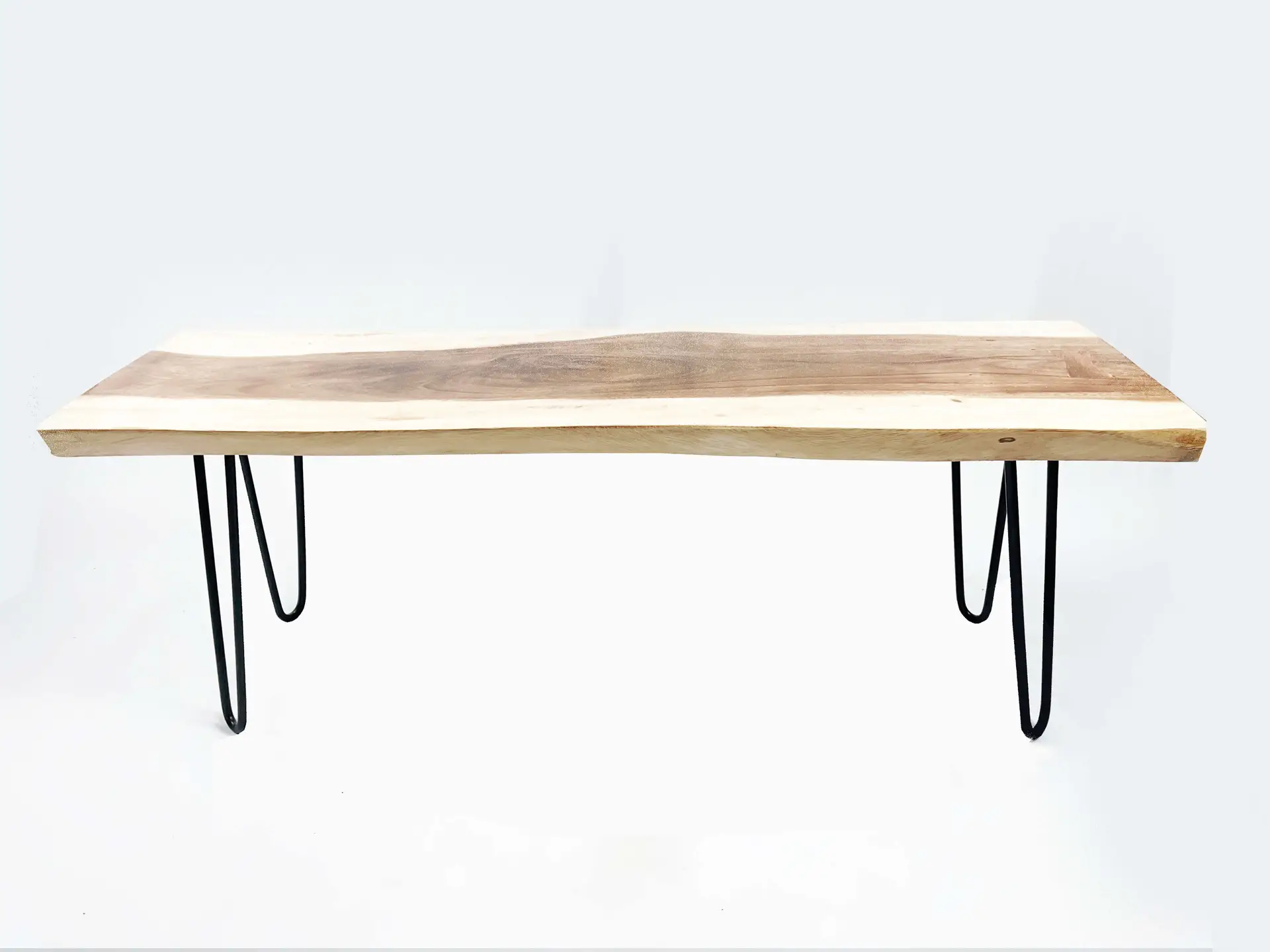 A live edge Teak Art Bench 2 (Left 1 piece) with black hairpin metal legs on a white background.
