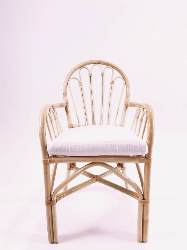 Floral Rattan Chair with Seat Cushion