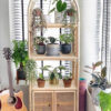 A Bookshelf With Cabinet stands by a window with blinds, displaying potted houseplants. Nearby, a guitar rests on the floor along with more plants on the floor and windowsill. A Bookshelf With Cabinet stands by a window with blinds, displaying potted houseplants. Nearby, a guitar rests on the floor along with more plants on the floor and windowsill.