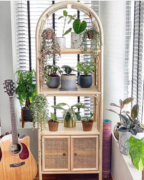 A Bookshelf With Cabinet stands by a window with blinds, displaying potted houseplants. Nearby, a guitar rests on the floor along with more plants on the floor and windowsill. A Bookshelf With Cabinet stands by a window with blinds, displaying potted houseplants. Nearby, a guitar rests on the floor along with more plants on the floor and windowsill.