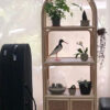 A Bookshelf With Cabinet displays potted plants, a bird figurine, and a glass terrarium; a large black case is positioned on the left. A Bookshelf With Cabinet displays potted plants, a bird figurine, and a glass terrarium; a large black case is positioned on the left.