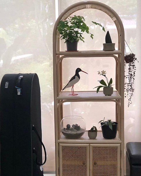 A Bookshelf With Cabinet displays potted plants, a bird figurine, and a glass terrarium; a large black case is positioned on the left. A Bookshelf With Cabinet displays potted plants, a bird figurine, and a glass terrarium; a large black case is positioned on the left.