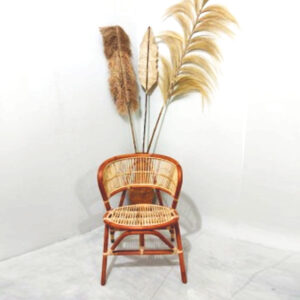 Benhur Chair Brown Color