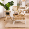 A Classic White Chair sits next to a potted plant on a woven mat in a bright, modern living room with wooden flooring.